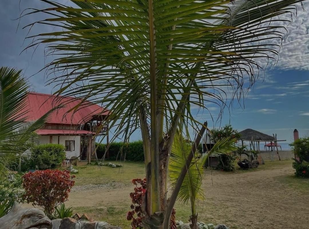 Hotel Palma Coco Ayampe Exterior foto